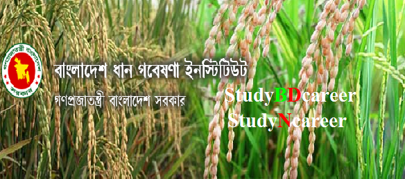 Bangladesh Rice Research Institute BRRI Job Circular 2020