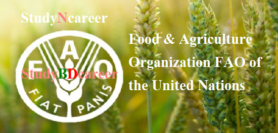 Food & Agriculture Organization (FAO) of the United Nations Job Circular 2020