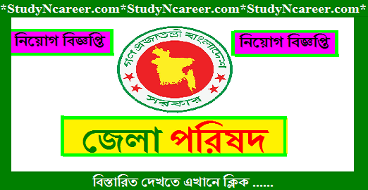 District Council Job Circular 2020