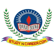 Study N Career